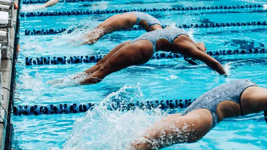 Several Rice swimmers launch off the blocks during a backstroke race at a recent meet