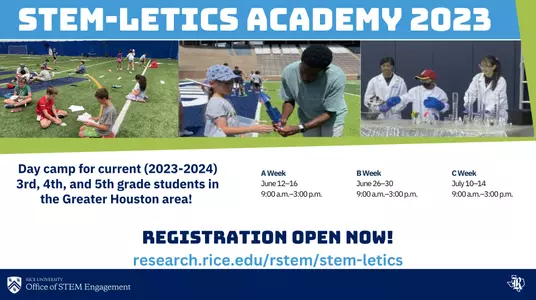 stemletics23