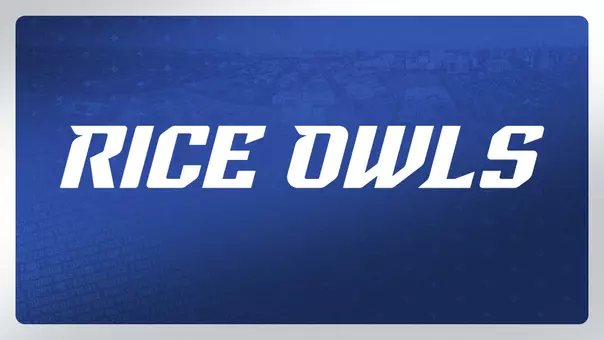 Rice Owls