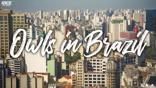 Owls in Brazil