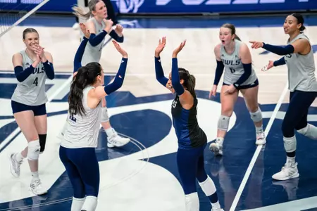 VB Celebration