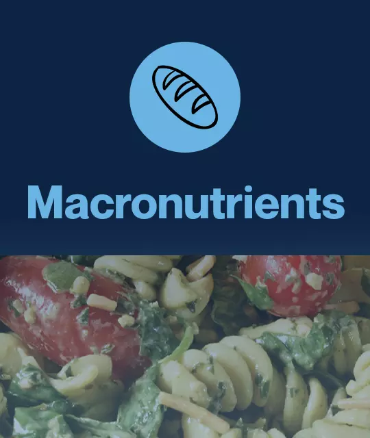 Macronutrients