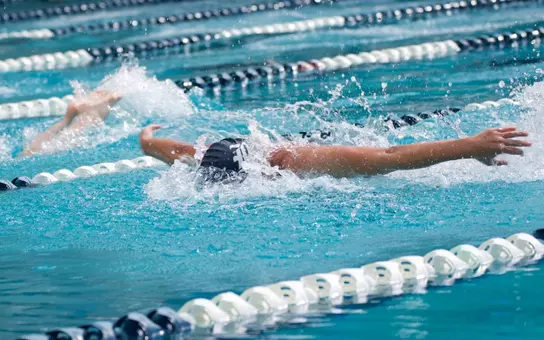 Swim and Dive vs North Texas