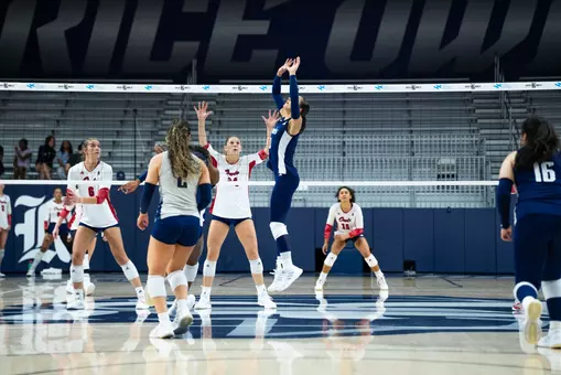 VB vs FAU
