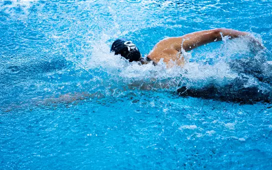 Owls Aim for Third Straight CSCAA Open Water Title