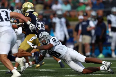Rice University Owls vs. University of Notre Dame Fighting Irish at Notre Dame Stadium on 12 September 2026 (Photos by Daniel P. Horan)