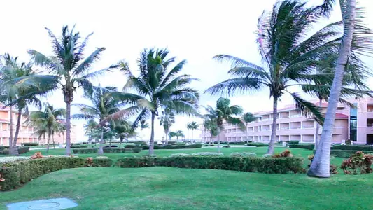 Spiders Play Illinois In Cancun Challenge Tuesday