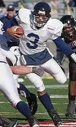 Shopping With The Spiders