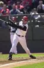 Spider Baseball In The Pros