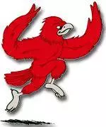 AlOng Came the Spiders