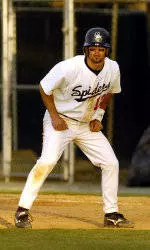 Spider Baseball To Hold Fall World Series, Scout Day