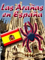 Spiders Spain Trip 2008