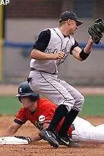 The 2003 Baseball Guide is NOW Online!