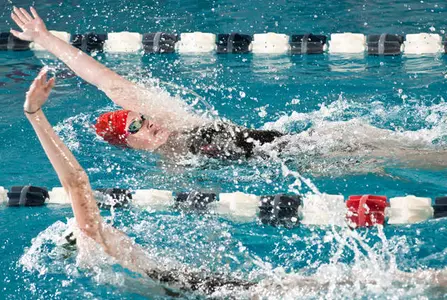 Swim & Dive Strong in Dual-Finale