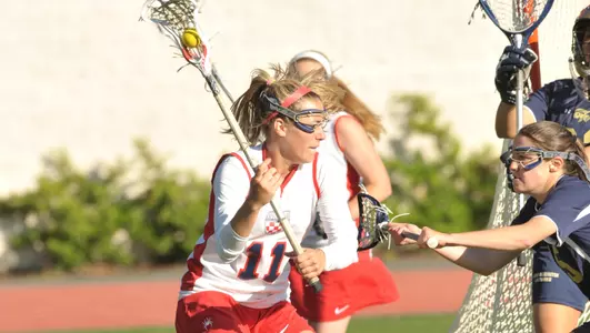 Spiders Down La Salle