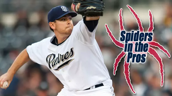Spiders in the Pros
