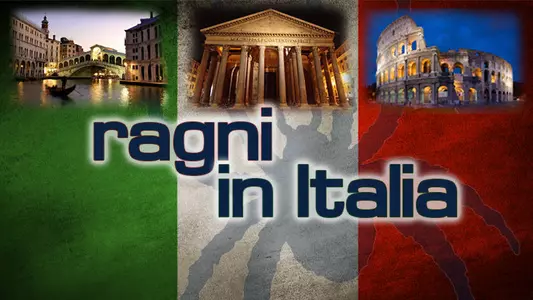 Men's Basketball Euro Trip Coverage