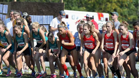 Spider XC Runs In NCAA Southeast Regional