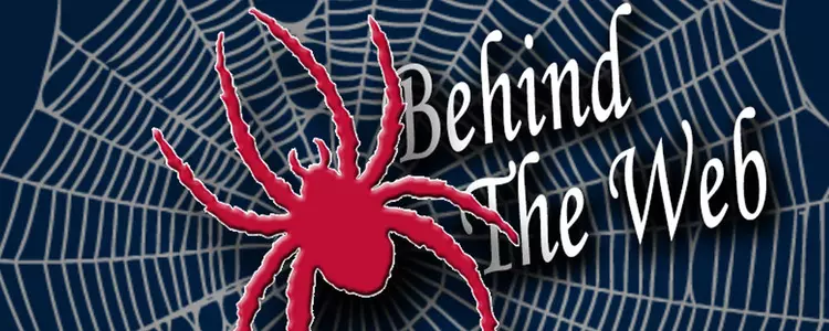 Behind The Web - The Artistry of Kelley Yang