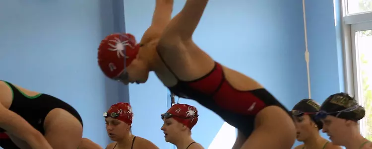 Spiders Swimming & Diving Back In Pool Saturday