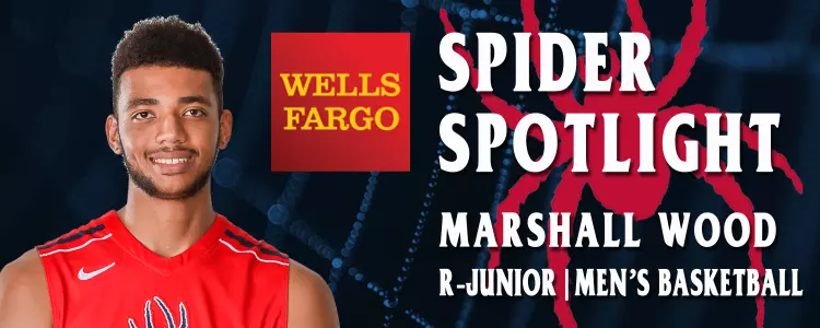 Spider Spotlight - Marshall Wood