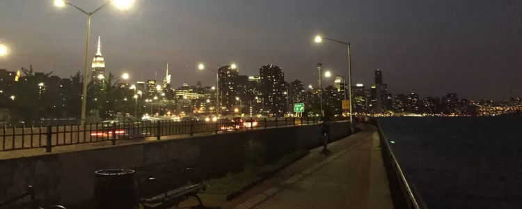 Spider Summer Series: Emily Newman