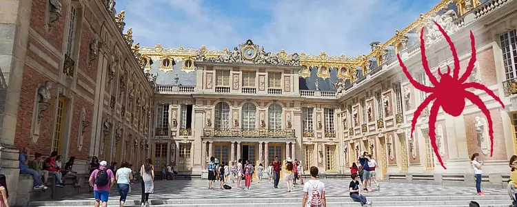 Women's Basketball Euro Trip Update - Paris