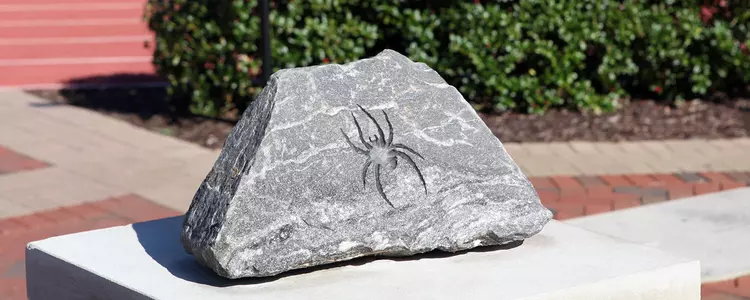 Six Spiders Named Academic All-State