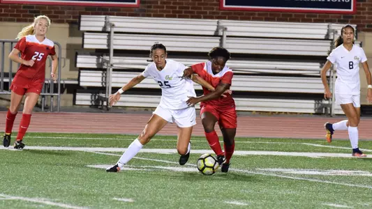 WSOC Clark Defense