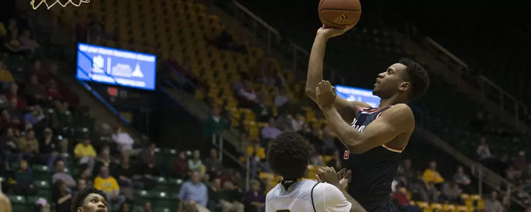 Spiders Fall On The Road To George Mason