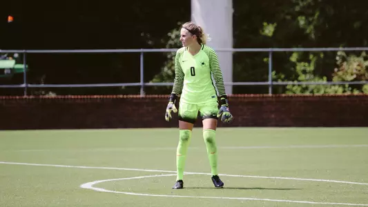 WSOC Sjodin
