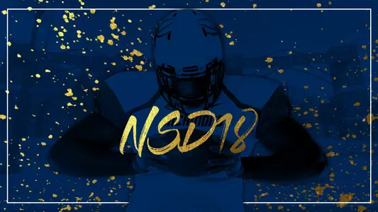 NSD18-2