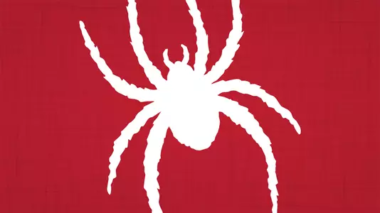 Richmond Spider Logo