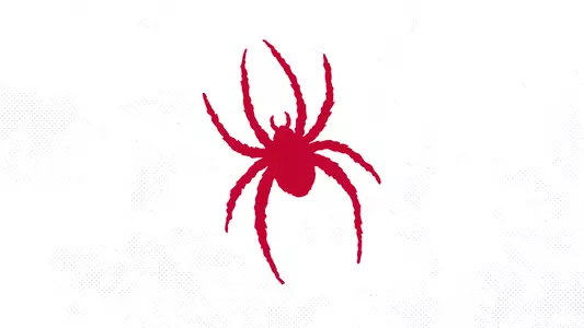 Spider