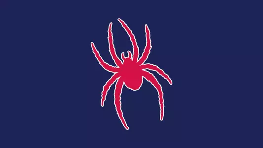 Red Spider Blue Background