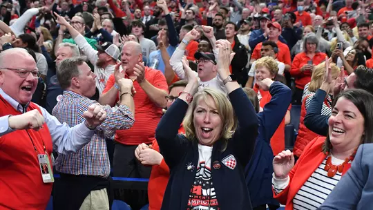 Annual Report - Fans