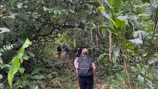 Spider student-athletes on a hike in Costa Rica