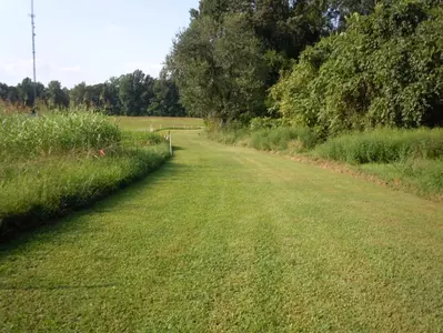 Picture of cross country running area at Pole Green park, filled with lots of green land and grass