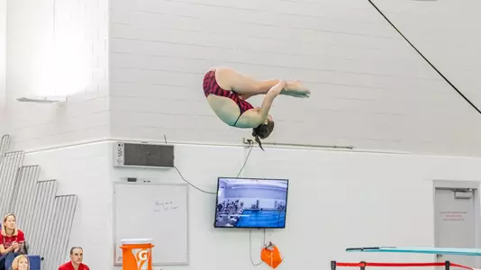Sally Herrington Diving