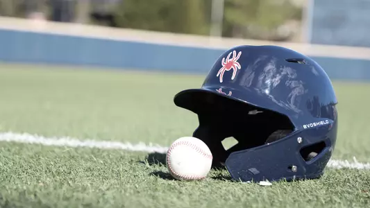 Spider Baseball helmet