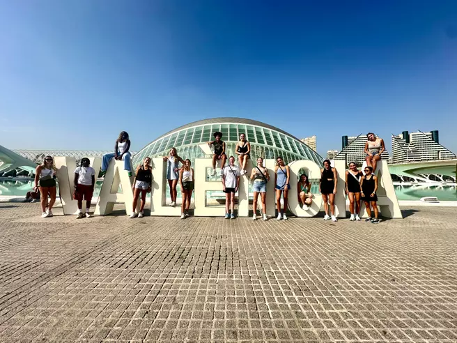 Spiders in Spain Recap