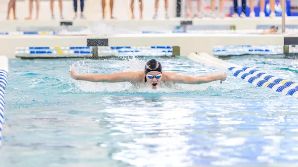 Lena Amare butterfly