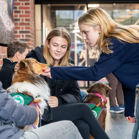 Students play with a therapy dog
