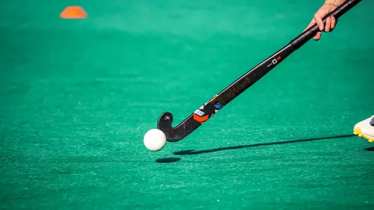 Field hockey stick and ball on the turf