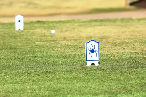 Spider golf tee markers on a tee box