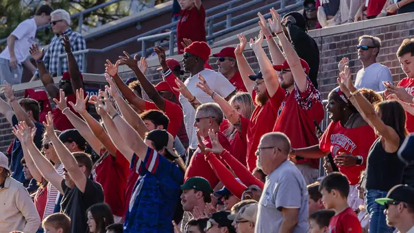 Spider fans at a game