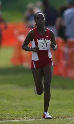 Crimson Tide Continues to Get Better Every Week