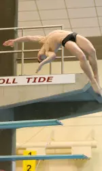 Aaron Fleshner earned SEC Diver of the Week honors three times last season.