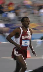 Augustus Maiyo qualified for the finals Wednesday in the steeple.