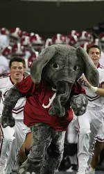 The alerts will also direct consumers to a Tide-specific portal where they can find information and content from their favorite team. Standard text message rates apply.